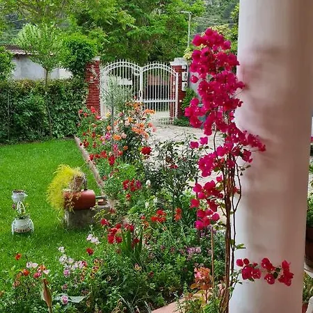 Veranda לינה וארוחת בוקר