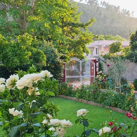 לינה וארוחת בוקר Veranda 3*