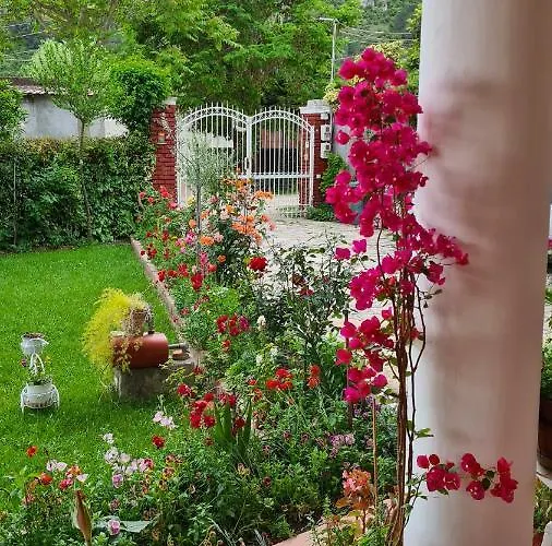 Veranda Bed & Breakfast