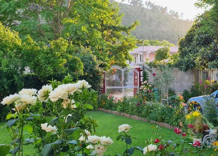 Bed & Breakfast Veranda 3*